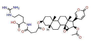 3-(N-Succinoyl argininyl)-cinobufagin